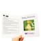Junior Learning® Letters & Sounds Phase 1 Non-Fiction Educational Learning Set
